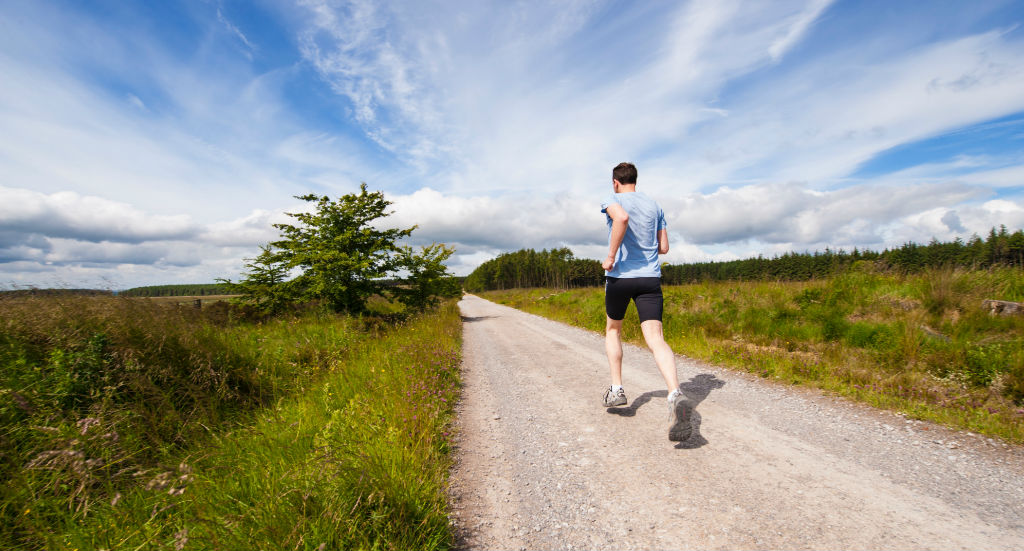 Rebuild Your Joint Health