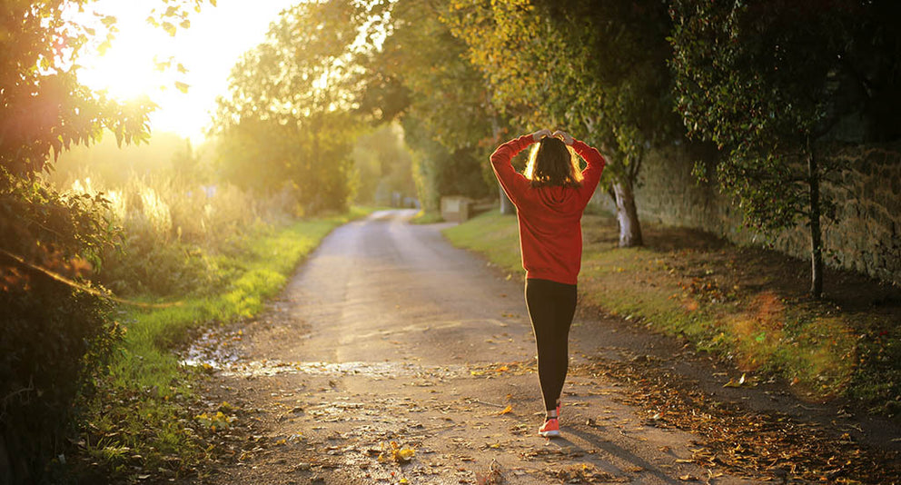 Tendon & Ligament Health
