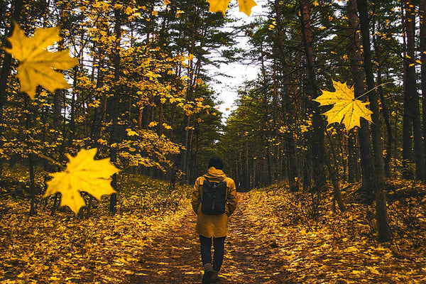 Autumn and the Immune System