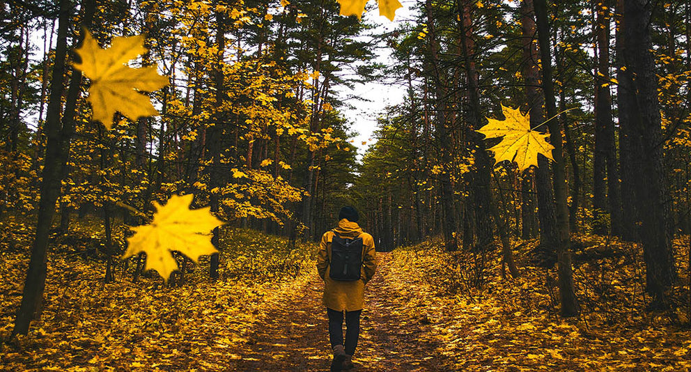 Autumn and the Immune System