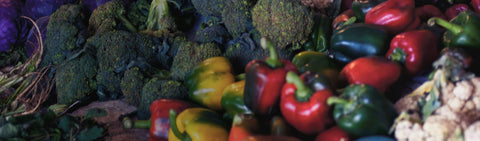 Digestive & GastroIntestinal Support