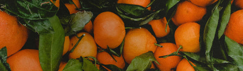 Daily Nutrition & Immune System Support