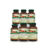 Focus/Attention (Metabolic Thyro) Pack
